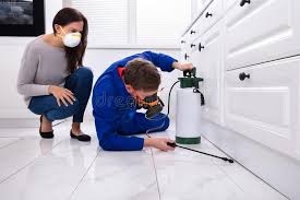 Best Real Estate Pest Inspections  in Milford, NJ